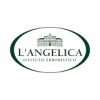 L´ANGELIKA